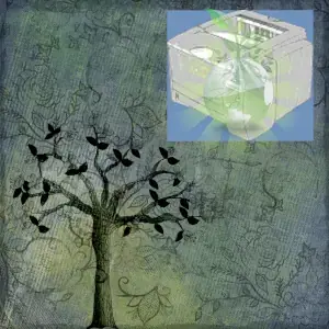 Eco Friendly