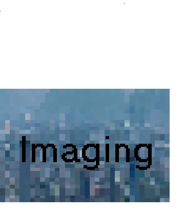Digital Imaging & Vector Graphics